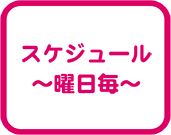 スケジュール